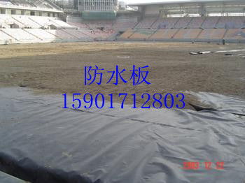 針刺地毯 匠心工藝與現代科技的完美結合