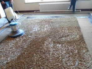 專業(yè)高效，潔凈無(wú)憂——廣州番禺工廠寫字樓地毯清洗消毒與土工材料維護(hù)全攻略